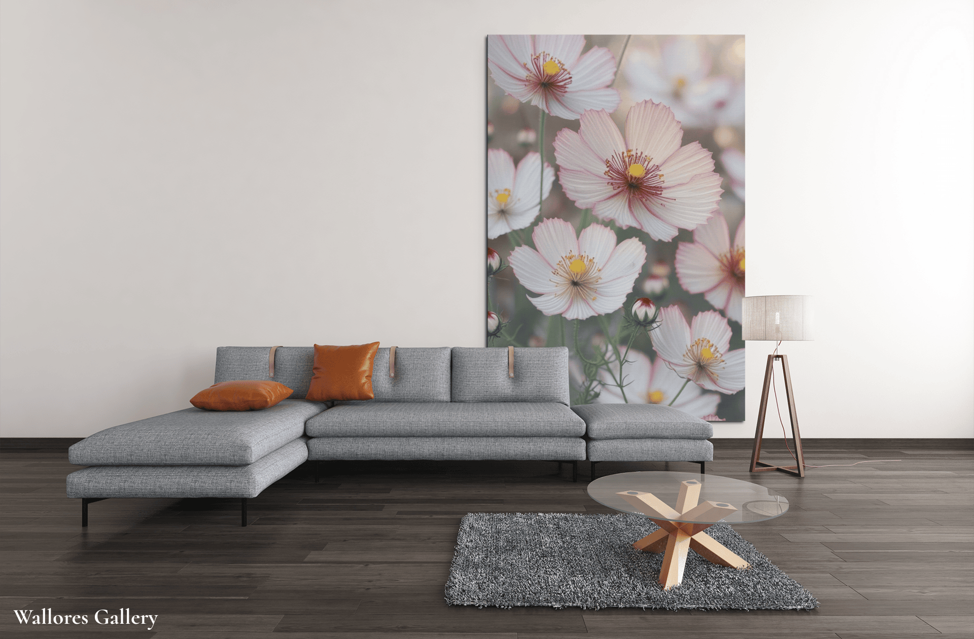 Cosmos Shallow