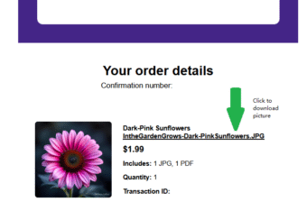 Picture Download Link